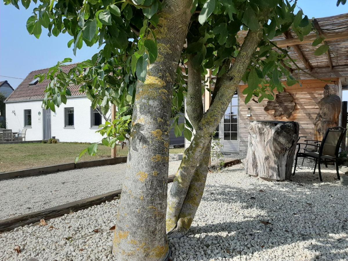 La Petite Juliette Villa Leuze-en-Hainaut Exteriör bild